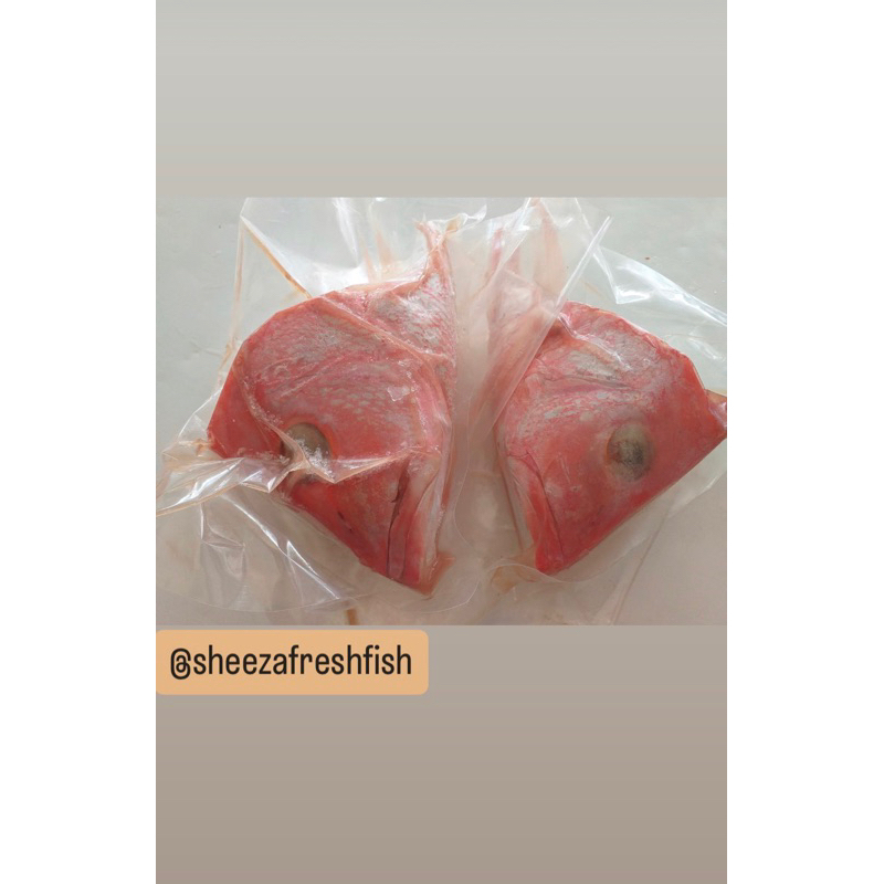 

Kepala Ikan Kakap Merah Segar