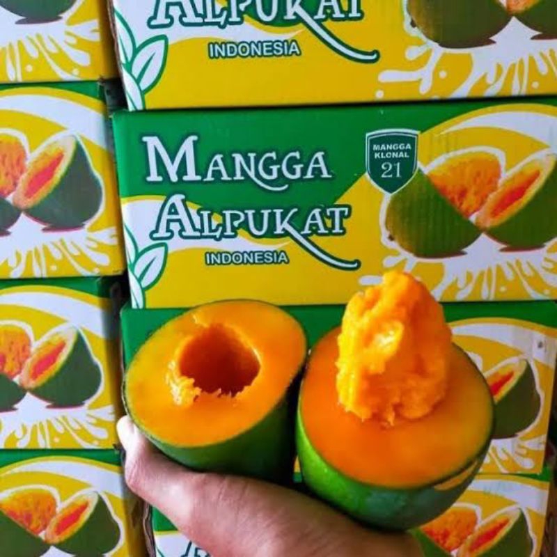 

Mangga Alpukat Pasuruan 5kg