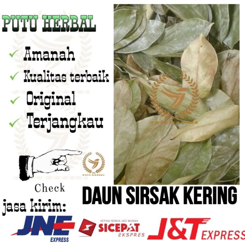 

daun sirsak kering berkualitas tinggi | Bersih tinggal seduh