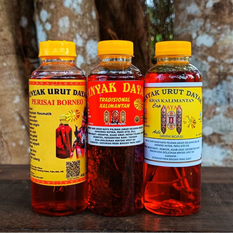 HEMAT Paket 3 Botol Minyak Urut Dayak Asli