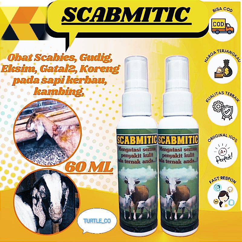 Obat Scabies Gudik Ternak Kambing