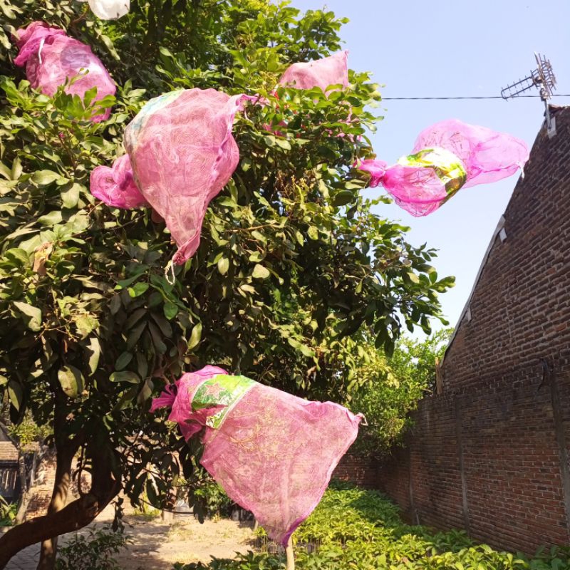 Karung Bawang Pembungkus Buah kelengkeng