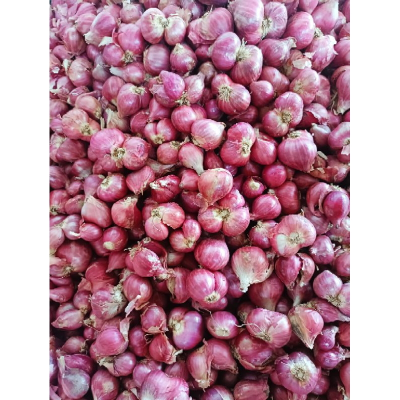 

bawang merah probolinggo 2kg