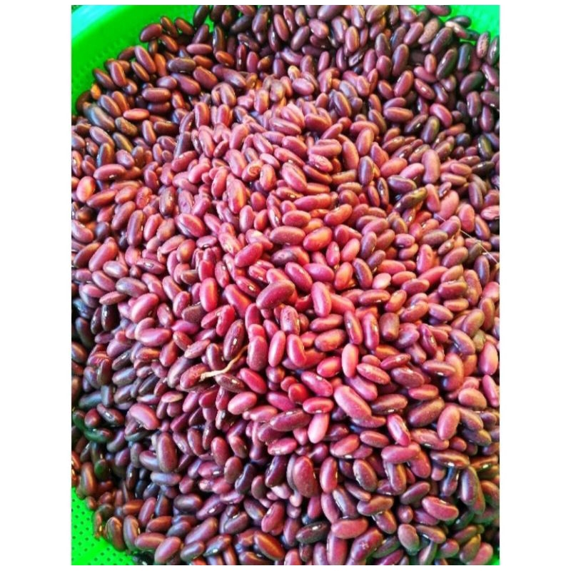 

kacang merah/campe 250gr