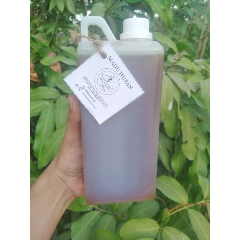 

Madu hutan sulawesi dijamin asli/murni 100% ukuran 1 Liter