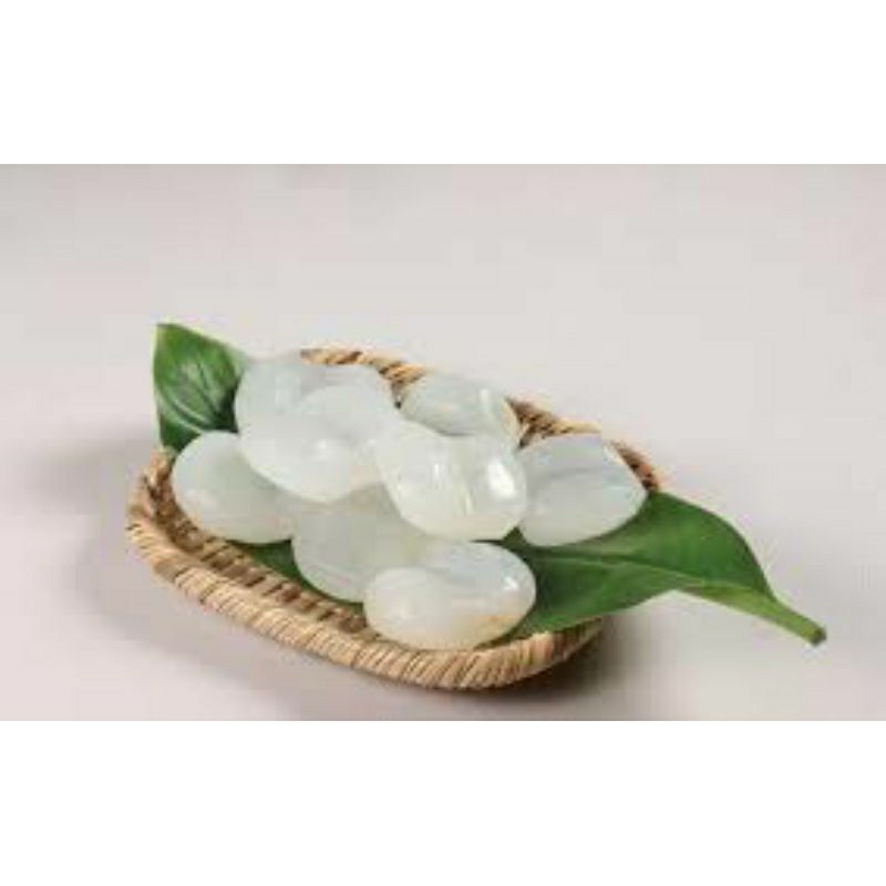 

Buah Lontar/Siwalan Kupas isi 10 biji