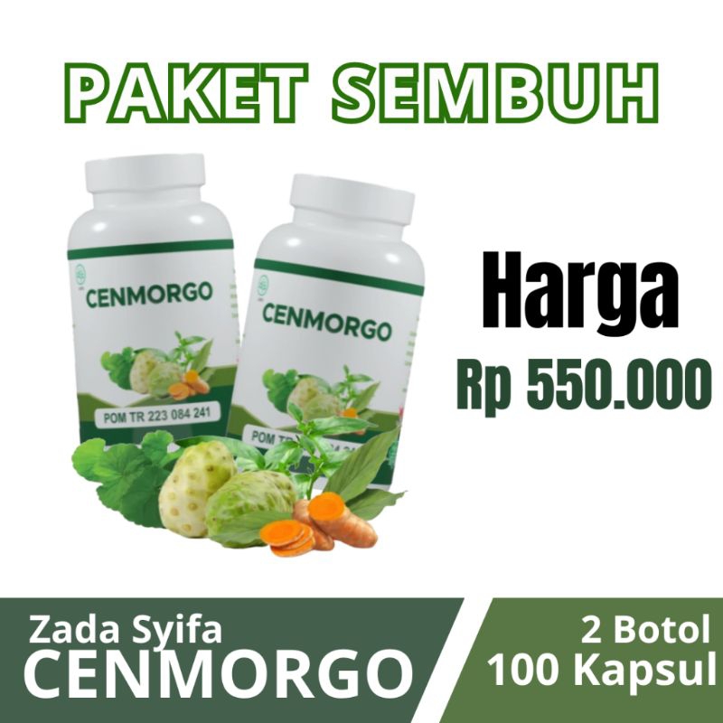 

CenmorGo 2 Paket