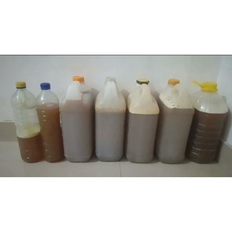 

madu klanceng kemasan 5 kg