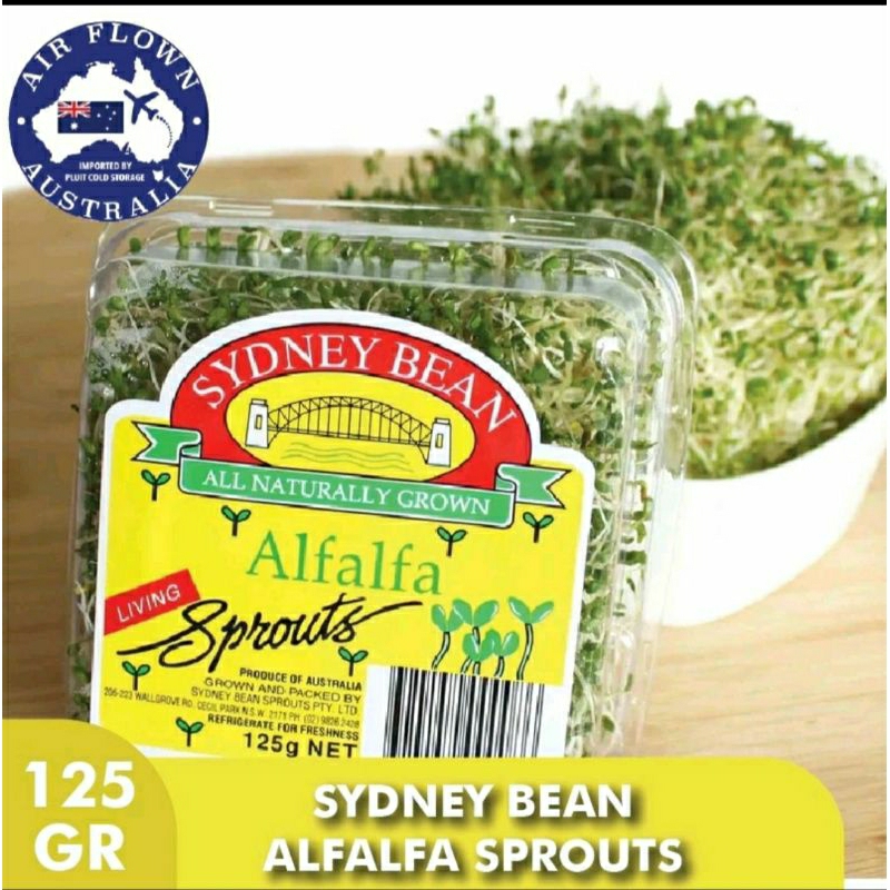 

Alfalfa Sprout 125 gr
