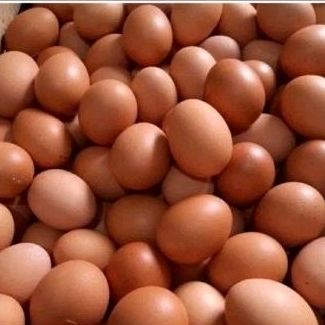 

telur ayam kemasan 1kg (wajib ambil ketoko)