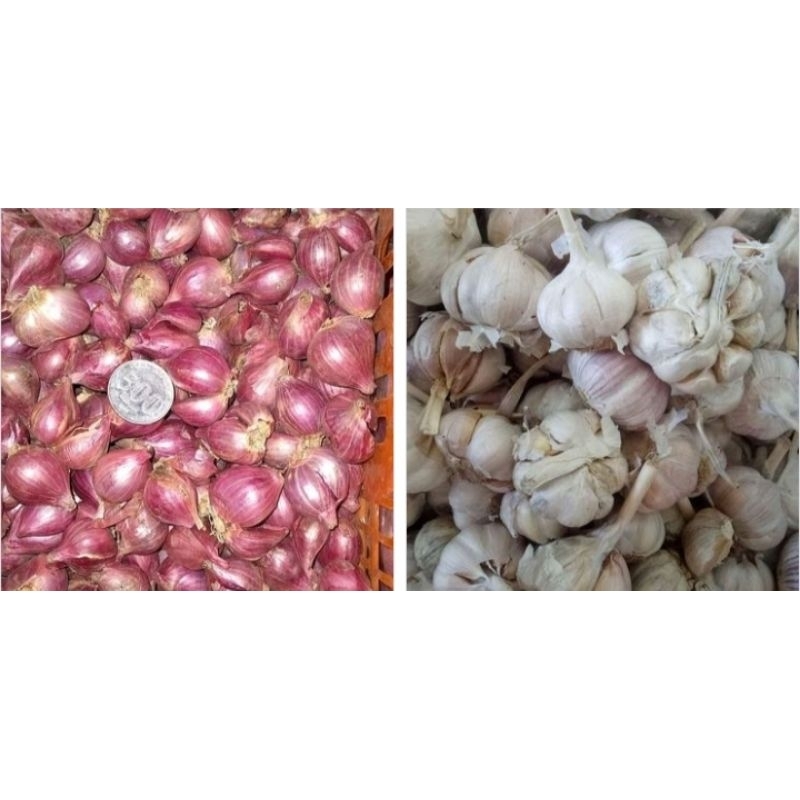 

[LEBIH HEMAT] PAKET BAWANG PUTIH + BAWANG MERAH