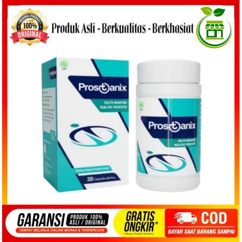 Prostanix Asli Original Resmi BPOM Obat Prostat Herbal Ampuh Bergaransi Grosir Termurah