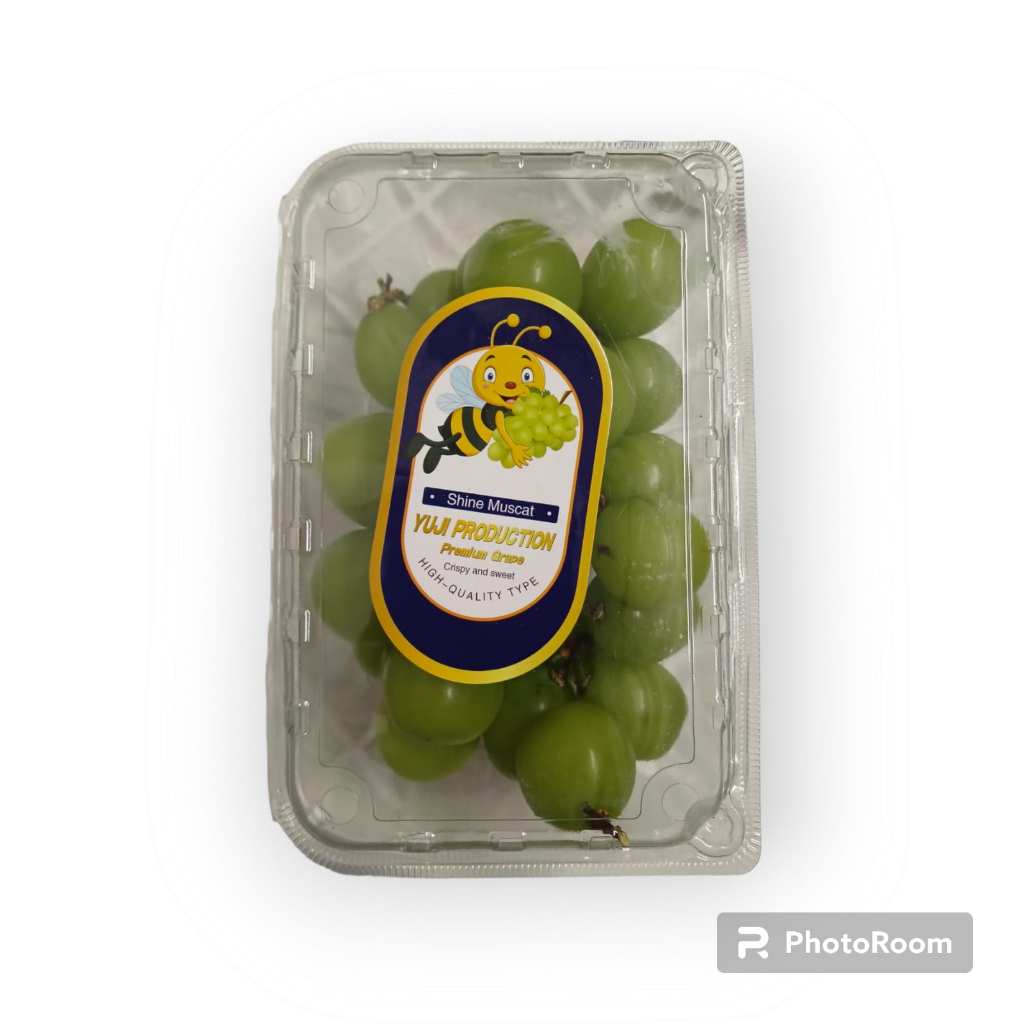 

ANGGUR SHINE MUSCAT HIJAU