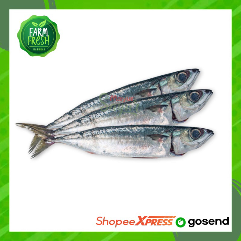 

KIRIM INSTAN Ikan Pindang / Layang / Berat 500 Gram
