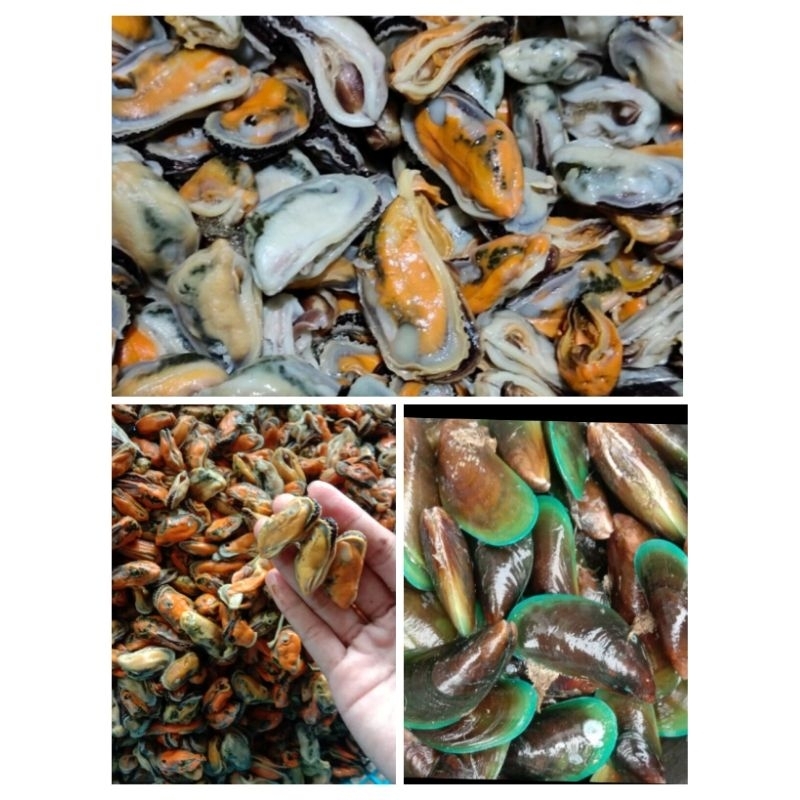 

Frozen Kerang Ijo Kupas Thinwall 500gr MURAH