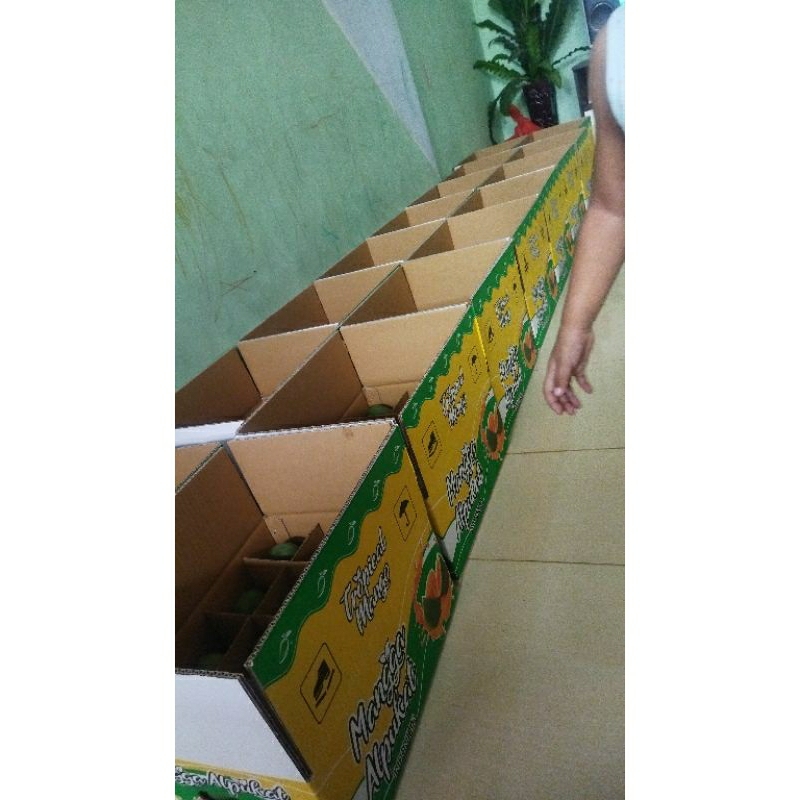 

mangga clonal pasuruan