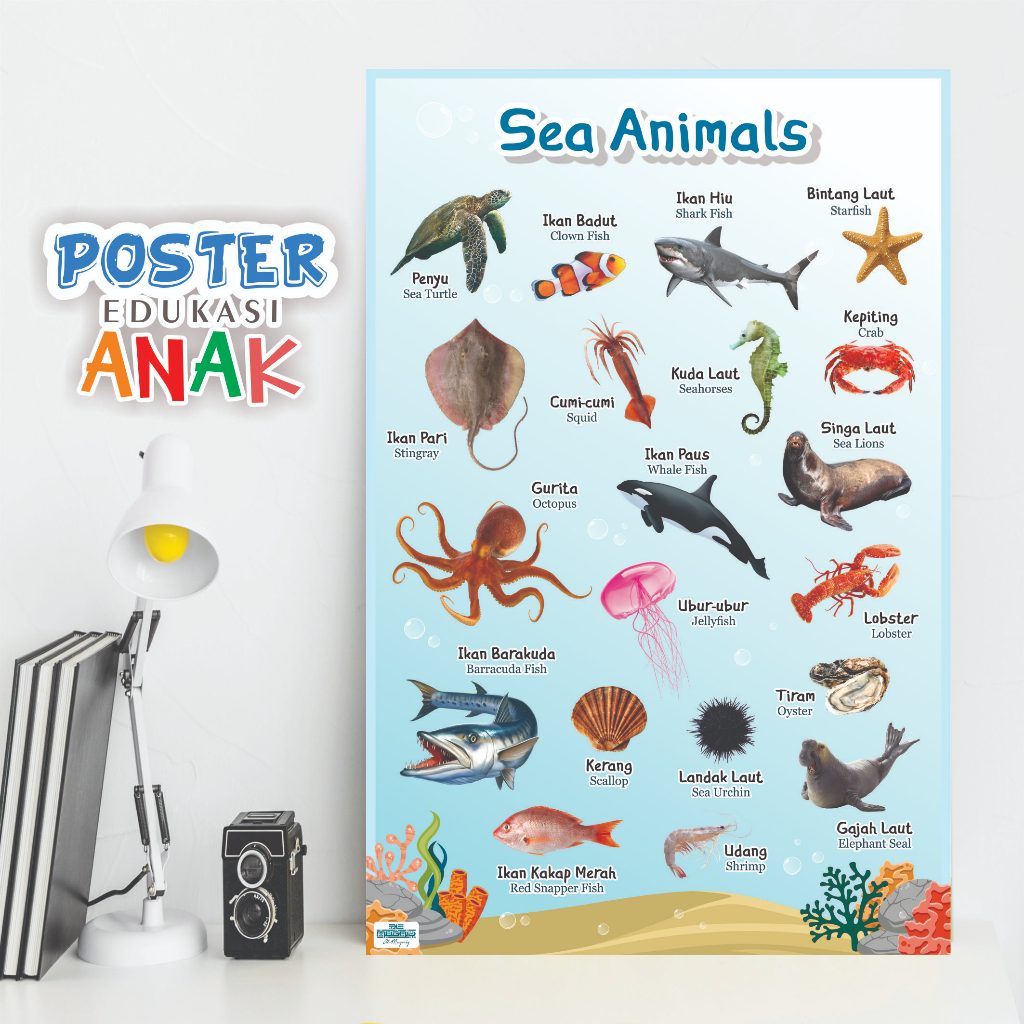 Poster Hewan Laut - Poster Sea Animals - Poster Mengenal Hewan Laut - Poster Edukasi Anak Belajar He