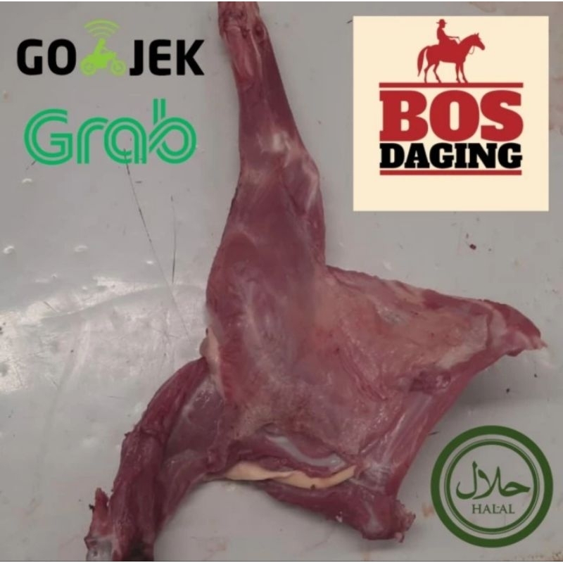 

Paha dan Iga Kambing Muda Dijamin Daging Segar