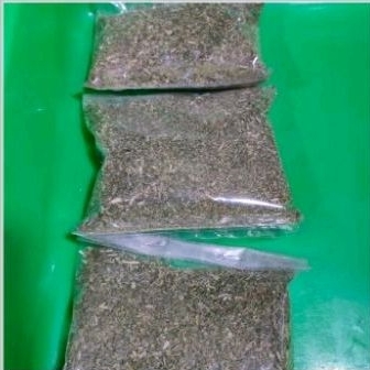 

Daun kering kachiangma