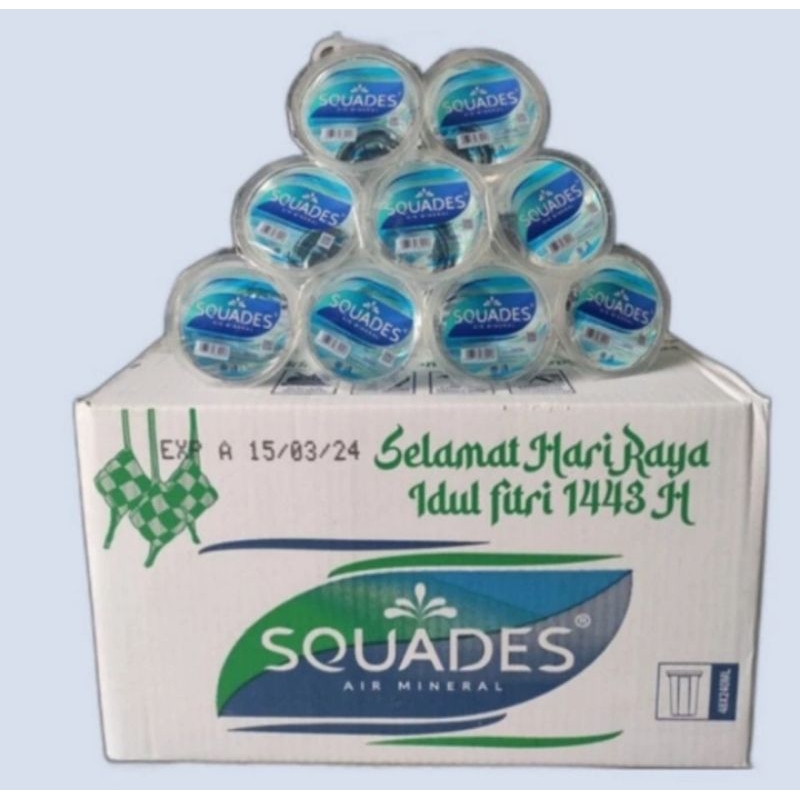 squades gelas 240 ml isi 48