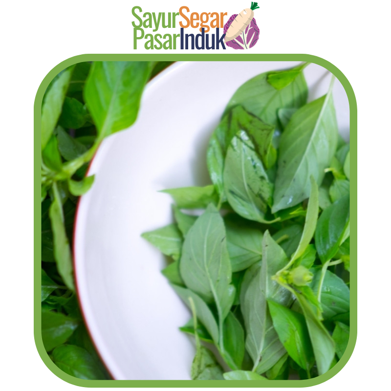 

Daun Kemangi 1 Ikat Sayur Segar Pasar Induk