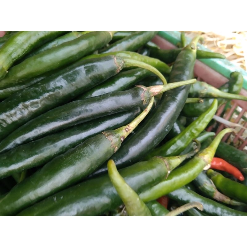 

Cabe Hijau Besar 200g