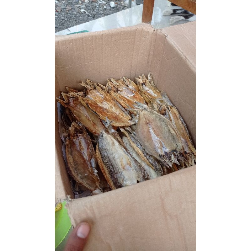 

Ikan Asin Jambrong Besar / Jenggelek / Siting / Siteng 100gr (Mentah) - Ikan Asin Gili Ketapang / Gereh / Gerih