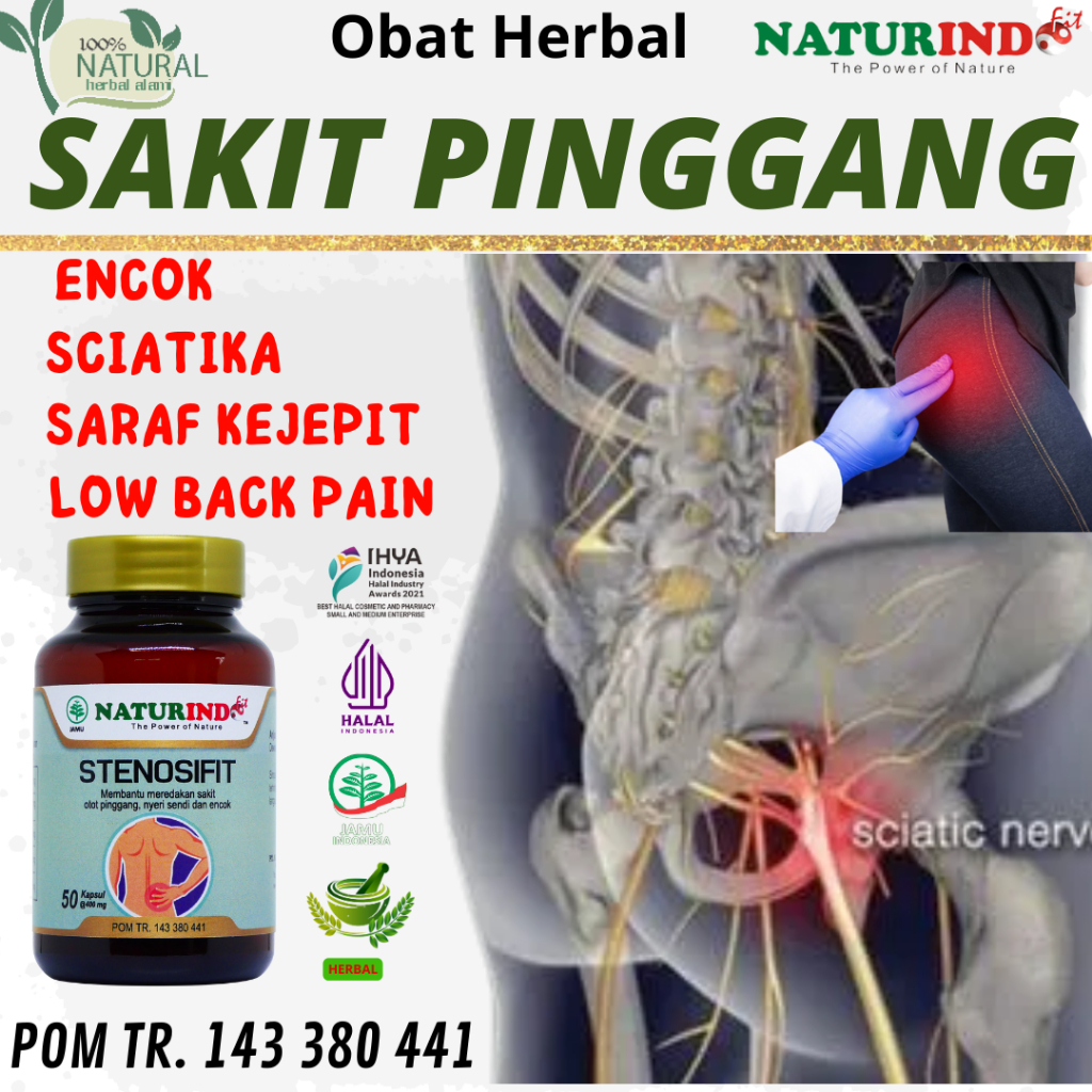 Obat Saraf Kejepit Pinggang Obat Sakit Pinggang Saraf Kejepit  Encok Nyeri Sendi Herbal Original