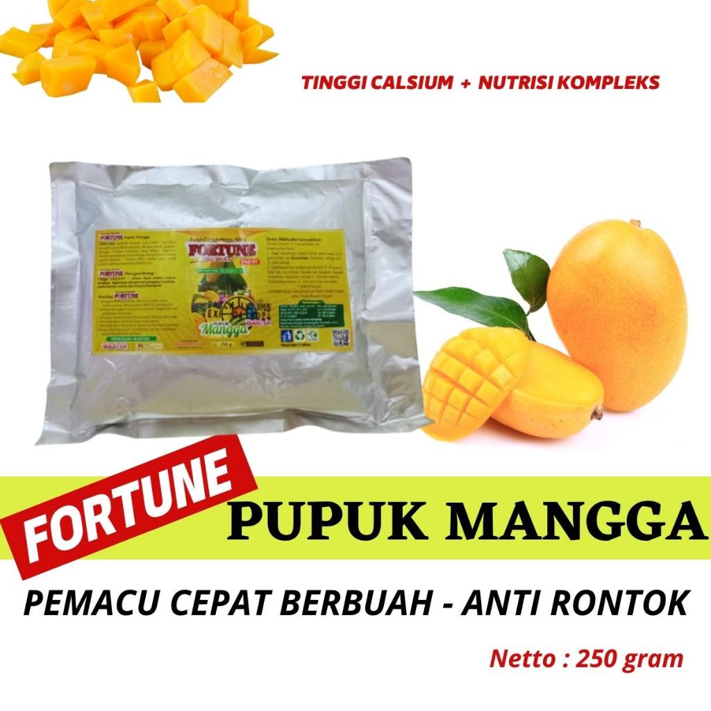 Pupuk Buah Mangga Cepat Buah, Pupuk Booster Mangga Agar Berbuah Lebat