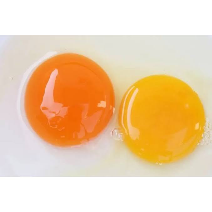 

Telur Ayam Negeri Omega 3 - 30 Pcs / Tray Grade A Fresh Bersih Orange