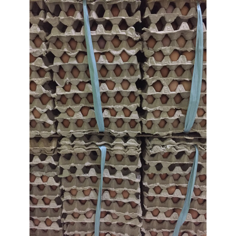 

telur ayam negri 1 ikat isi 15 kg 15-17 butir