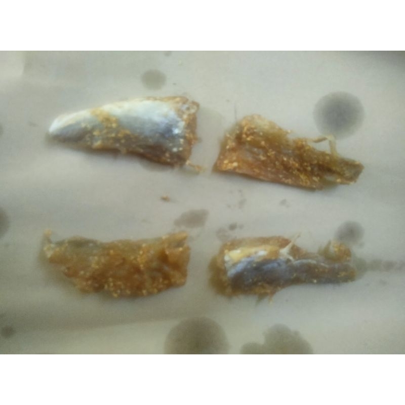 

Dendeng Baracuda