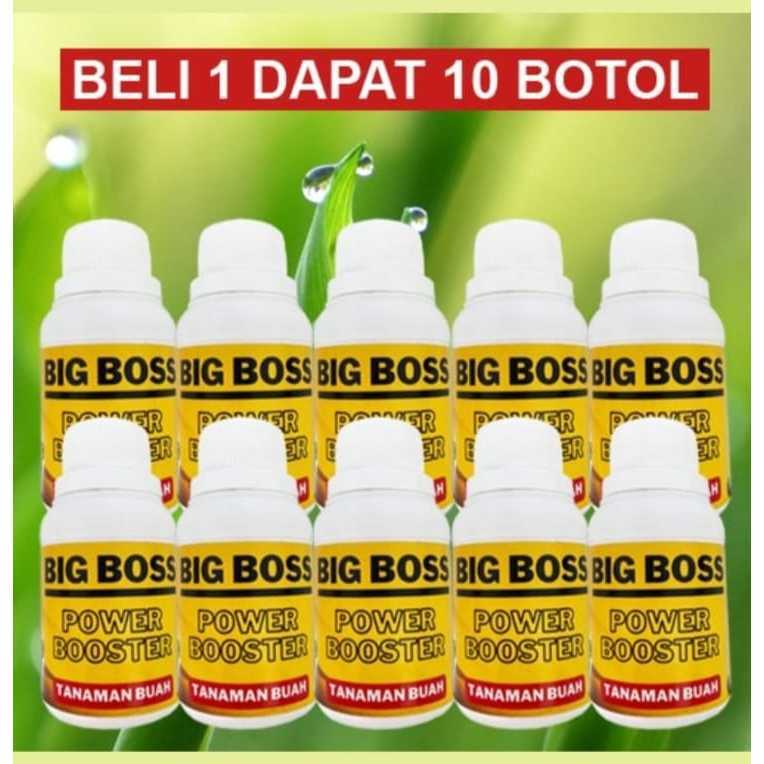 PUPUK PELEBAT BUAH BIG BOSS POWER BOOSTER PUPUK YANG TEPAT UNTUK "MEMAKSA" TANAMANMU BERBUAH LEBIH C