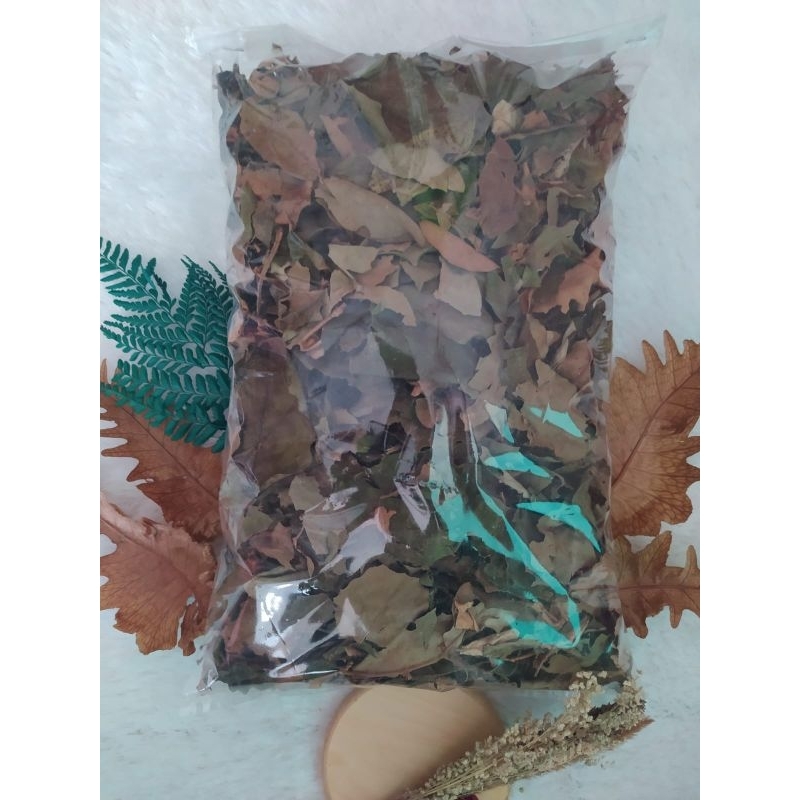 

benalu kopi tanpa batang daun nya saja 500gram