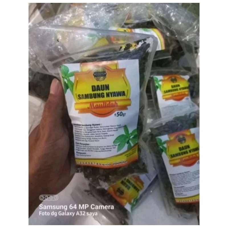 

TEH SEDUH DAUN SAMBUNG NYAWA ISI 50 GRAM