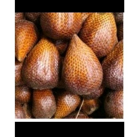 

SALAK MADU 1Kg