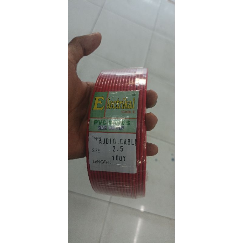 KABEL TUNGGAL 2,5 PANJANG 100 Y