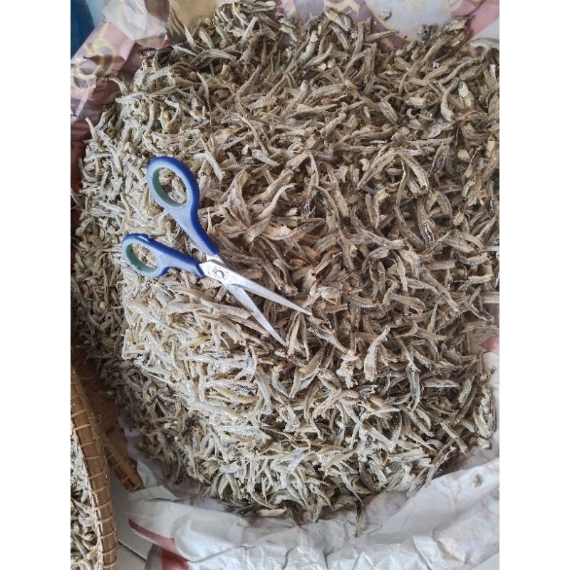 

Teribelah