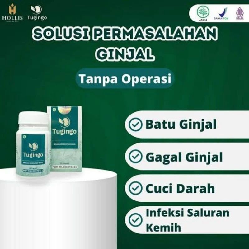 tugingo obat ginjal ampuh atasi batu ginjal ginjal kronis gagal ginjal