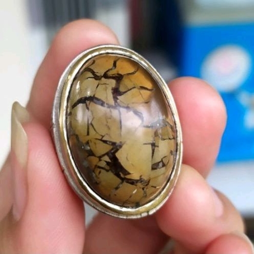 Batu Sisik Naga Enrekang