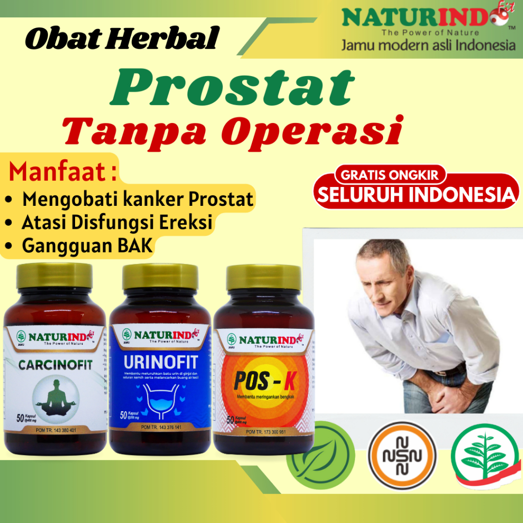 Obat Herbal Kanker Prostat Disfungsi Ereksi Pria Paling Ampuh Sakit Sering Nyeri Kencing Terus Mener
