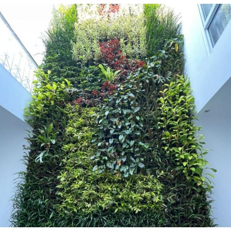 Taman Vertikal Garden / tukang taman jabotabek