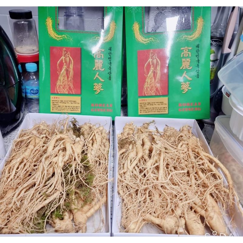 

gingseng merah asli korea original