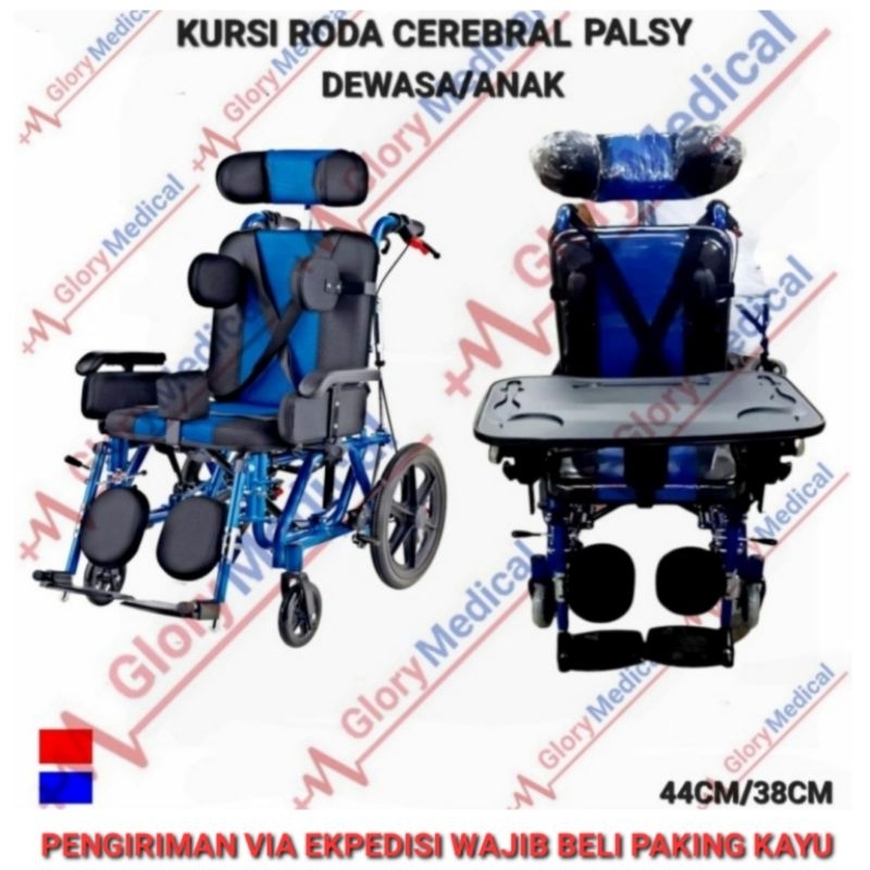 Kursi Roda Sella Cerebral Palsy Child/Anak Berkebutuhan khusus + Meja