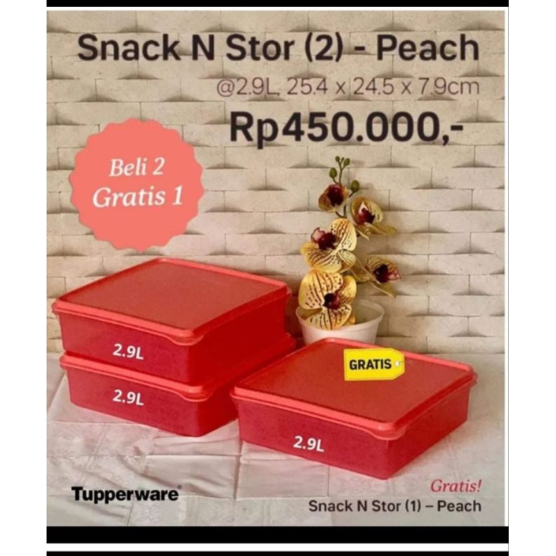 snack n stor tupperware