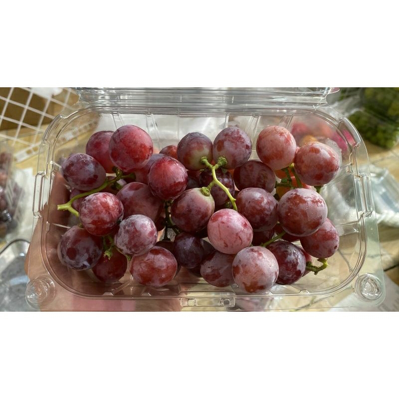 

Anggur red globe 450-500gr /pack