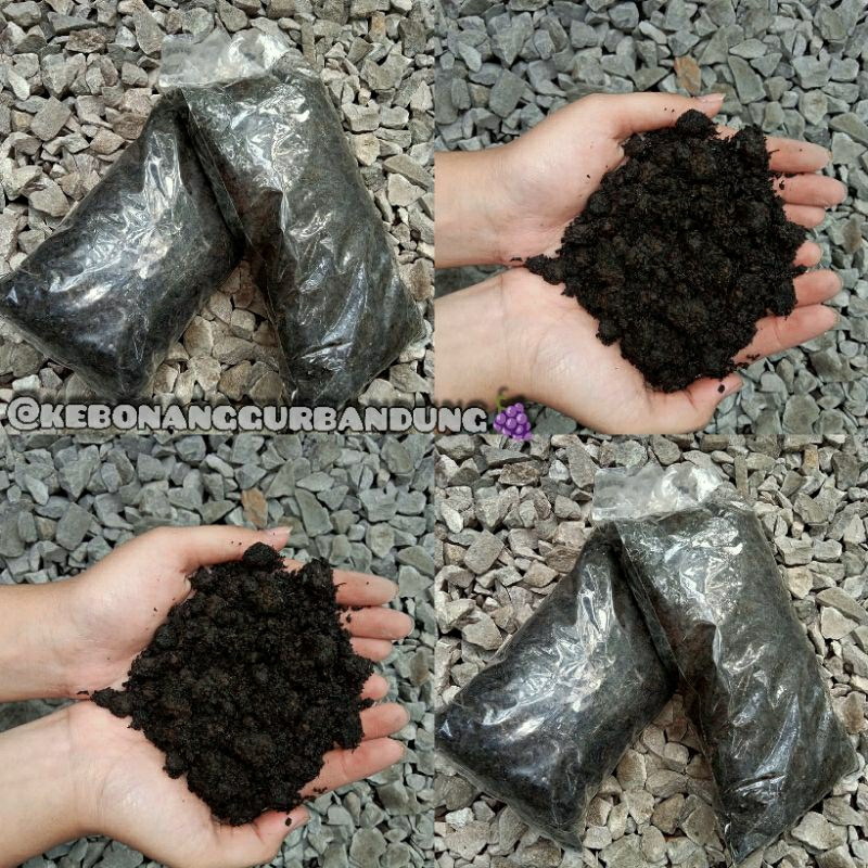 Pupuk organik kascing (bekas cacing)