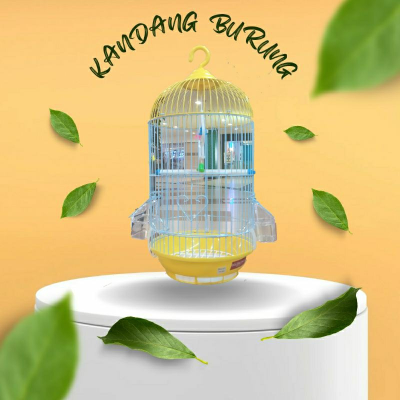 Kandang Burung Pleci