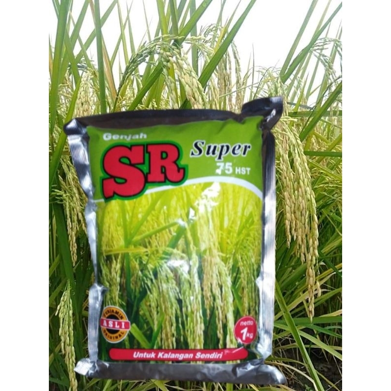 Benih Padi SR super