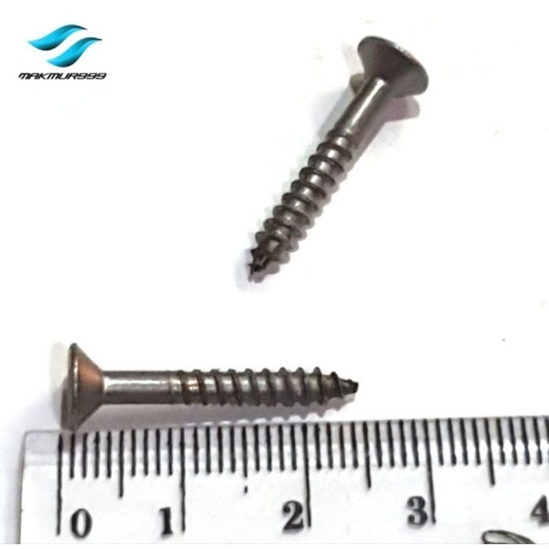 skrup kayu 1 inch - sekrup 2,5cm per 1 pcs